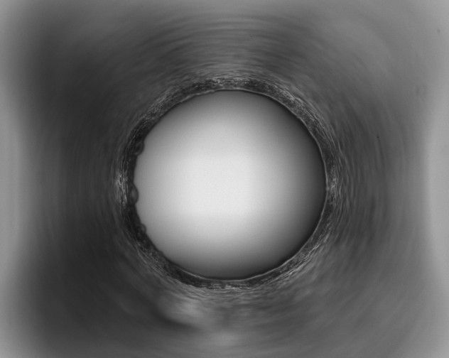 X0000096210772200801181008