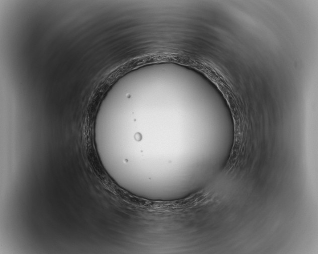 X0000096210773200801181008