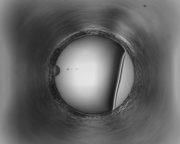 X0000096210775200801181008
