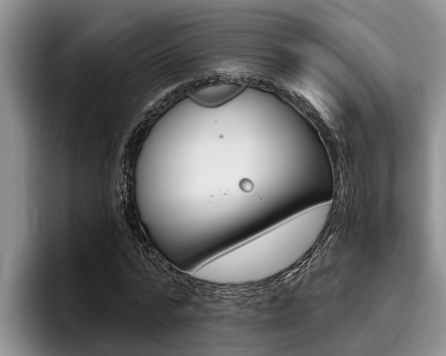X0000096210776200801181008