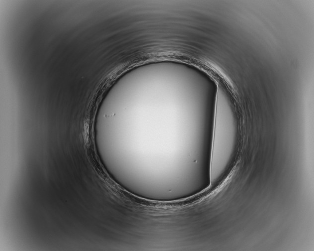 X0000096210777200801181008