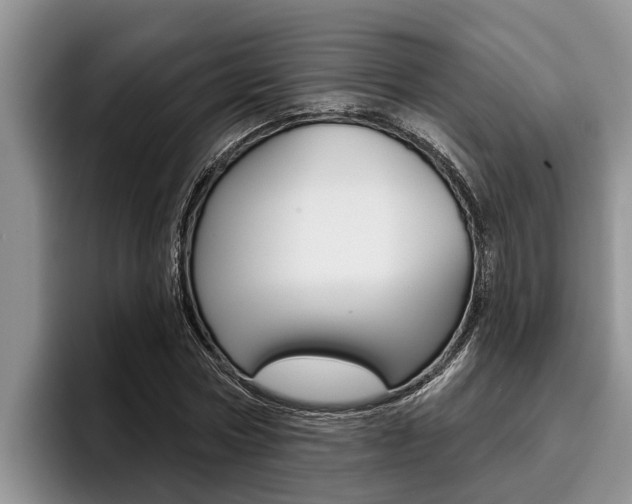 X0000096210778200801181008