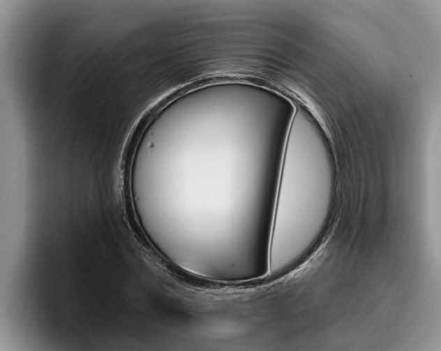 X0000096210779200801181008
