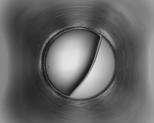 X0000096210780200801181008