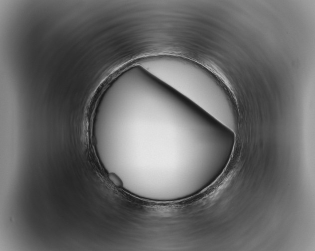 X0000096210781200801181008