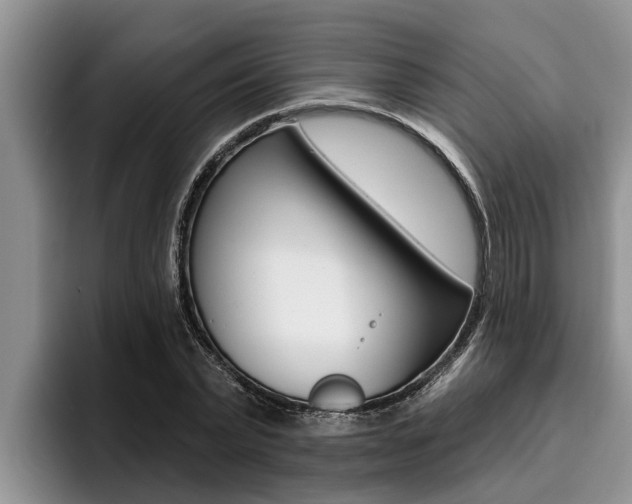 X0000096210783200801181008