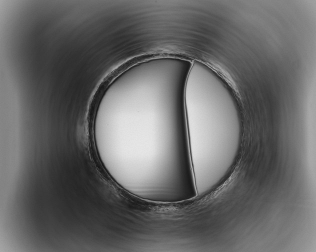 X0000096210784200801181008