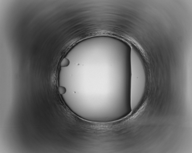 X0000096210785200801181008