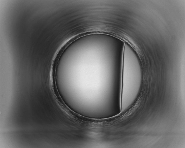 X0000096210788200801181008
