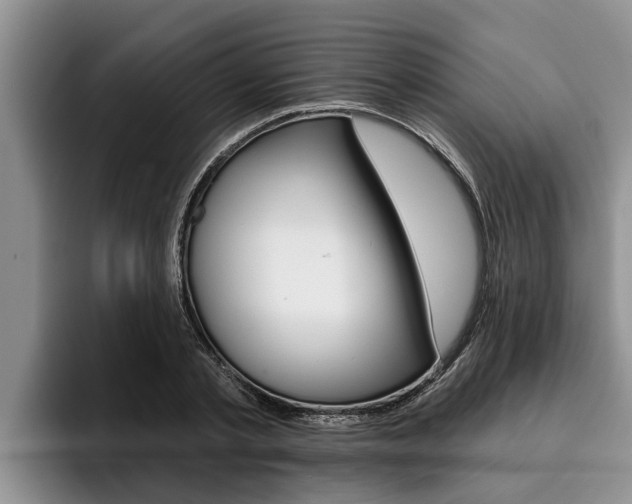 X0000096210789200801181008