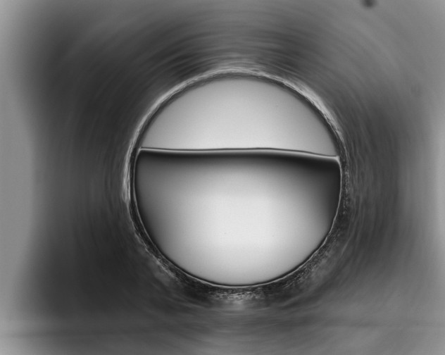 X0000096210791200801181008