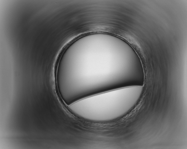 X0000096210792200801181008