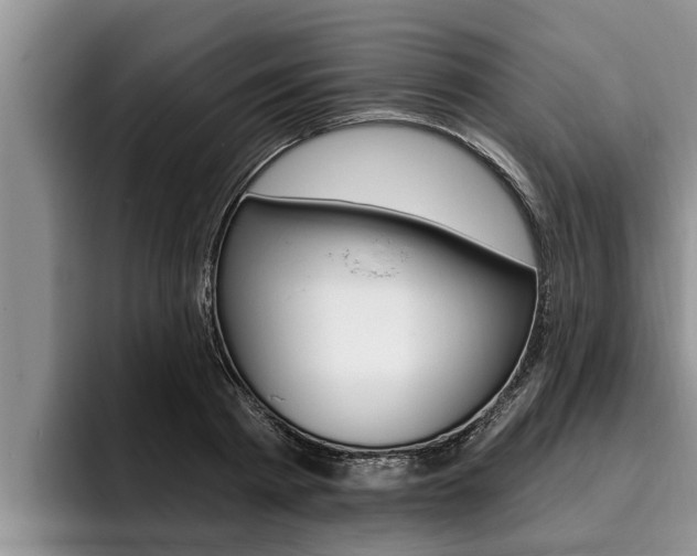 X0000096210793200801181008