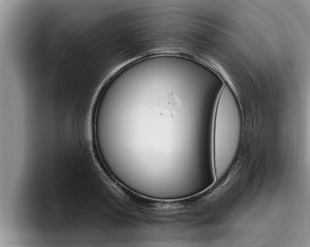 X0000096210795200801181008