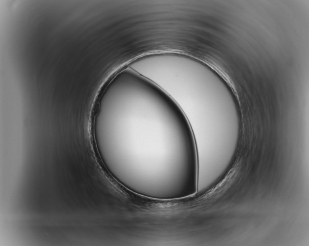 X0000096210797200801181008