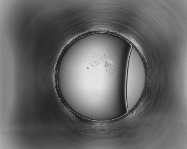 X0000096210799200801181008