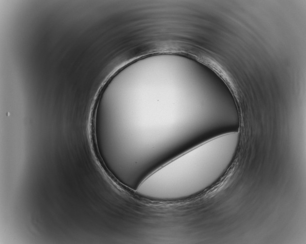 X0000096210803200801181008
