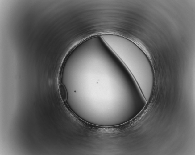 X0000096210805200801181008