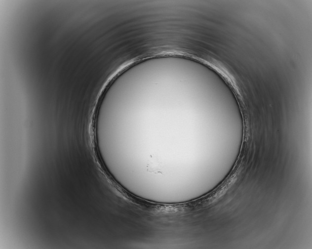 X0000096210806200801181008