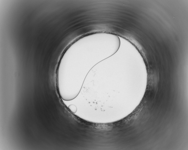 X0000096210807200801181008