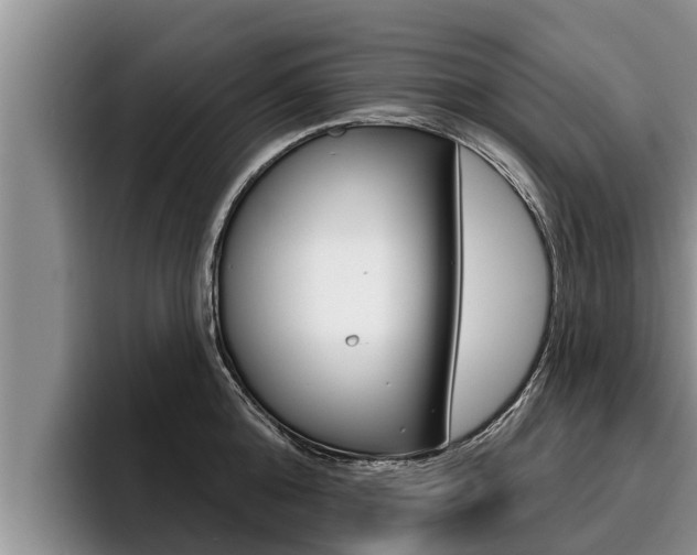 X0000096210808200801181008