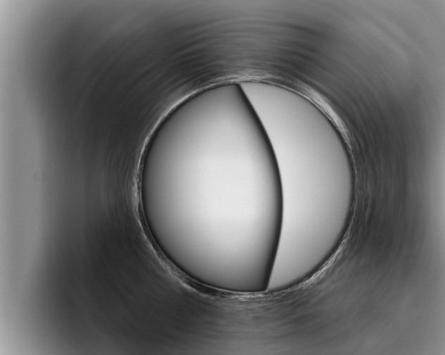 X0000096210810200801181008