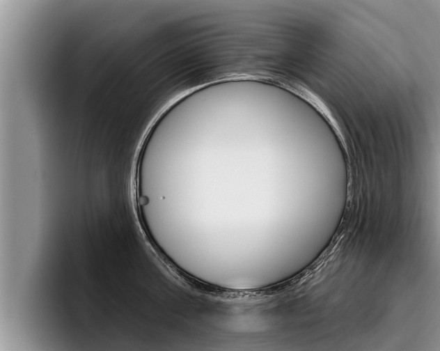X0000096210811200801181008