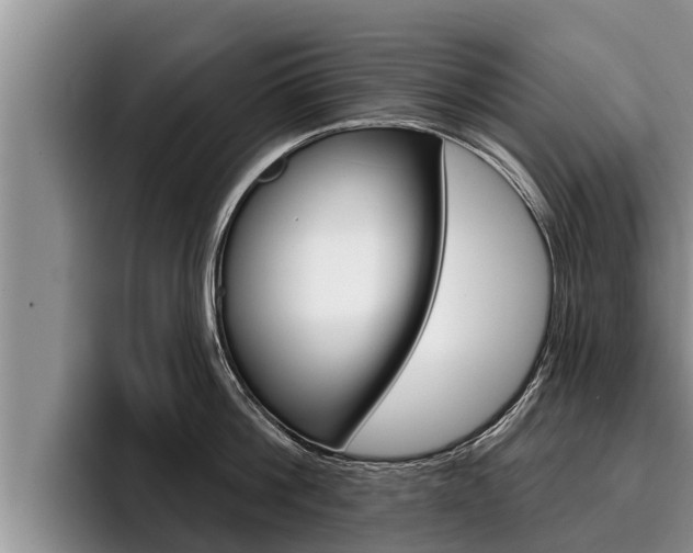 X0000096210812200801181008