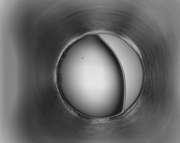 X0000096210813200801181008