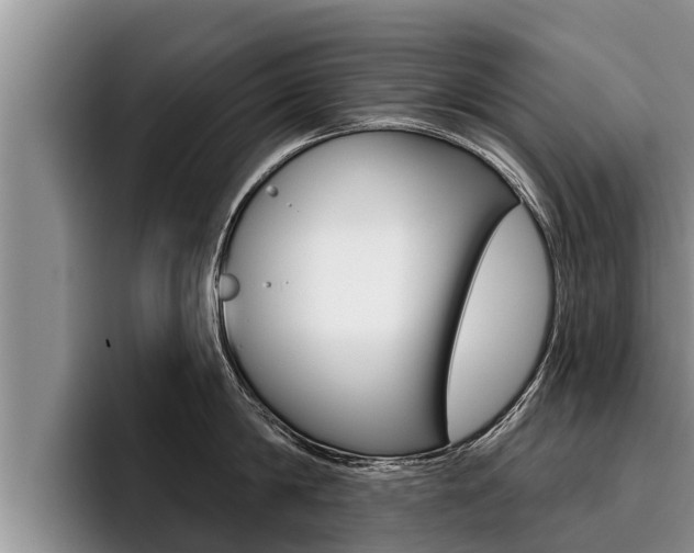 X0000096210814200801181008