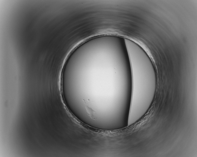 X0000096210815200801181008