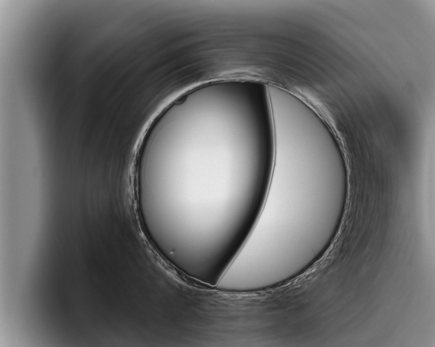 X0000096210816200801181008