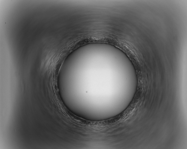 X0000096210817200801181007