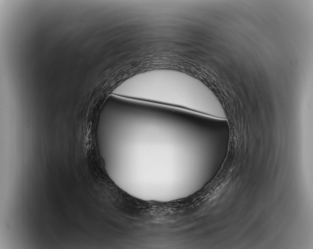 X0000096210818200801181007