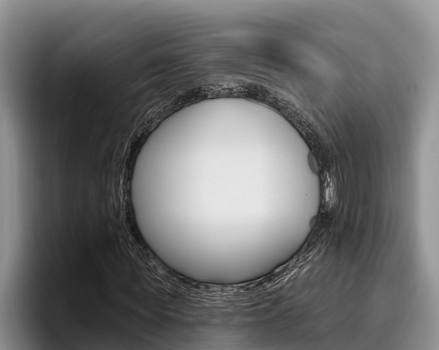 X0000096210819200801181007