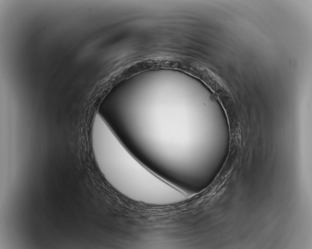 X0000096210821200801181007