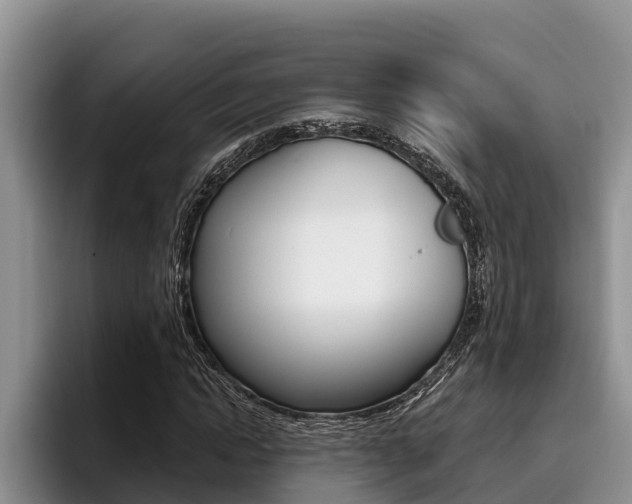 X0000096210822200801181007