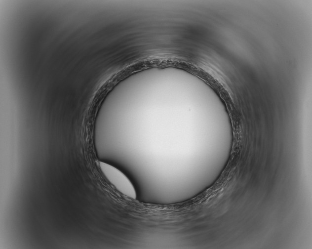 X0000096210823200801181007