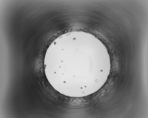 X0000096210824200801181007