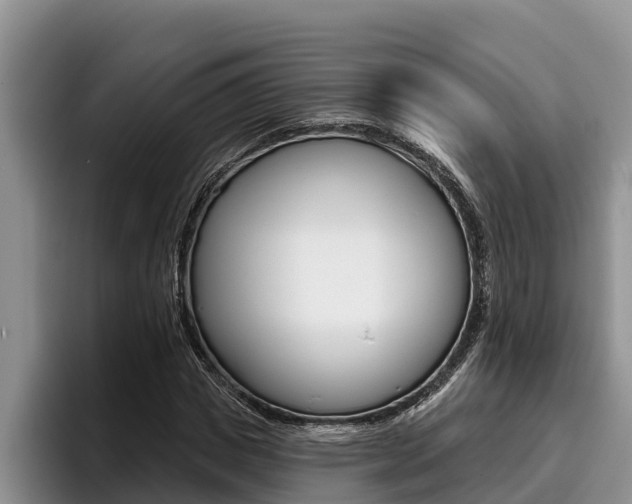 X0000096210825200801181007