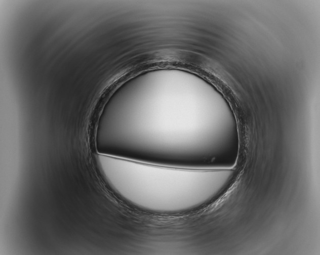 X0000096210826200801181007