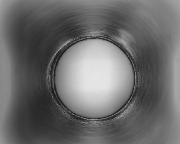 X0000096210827200801181007
