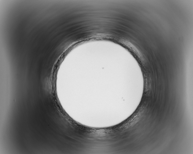 X0000096210828200801181007