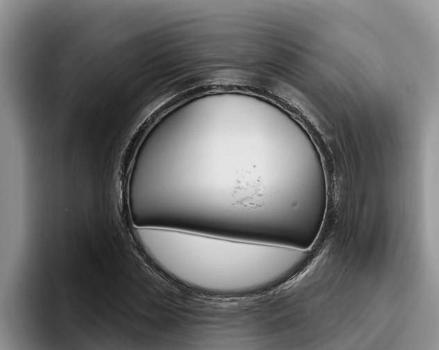 X0000096210829200801181007