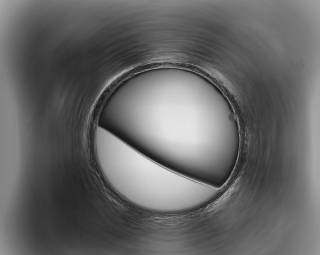 X0000096210830200801181007