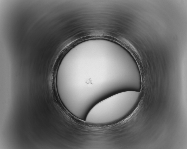 X0000096210831200801181007