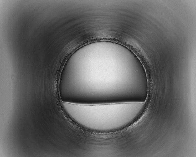 X0000096210833200801181007
