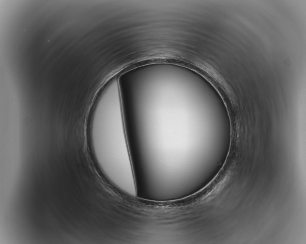 X0000096210834200801181007