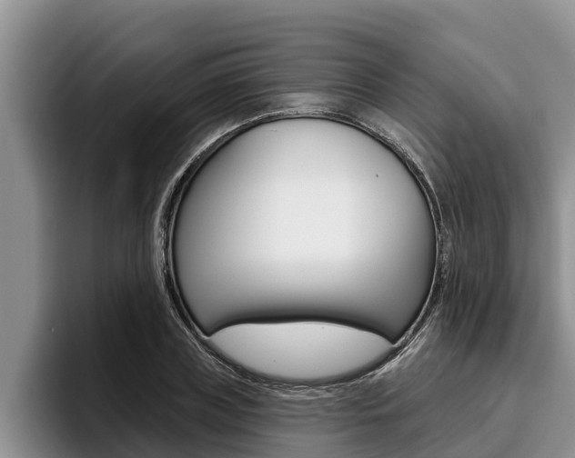 X0000096210835200801181007