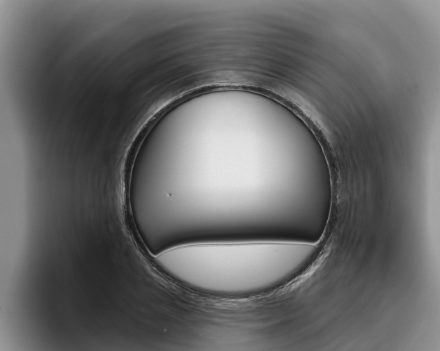 X0000096210837200801181007